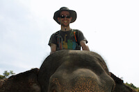 Steve Being a Mahout