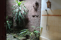 Ecolodge Bathroom